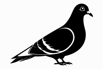 pigeon silhouette line art vector illustration with a white background