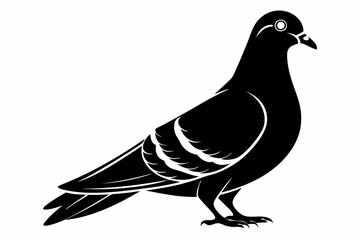 pigeon silhouette line art vector illustration with a white background