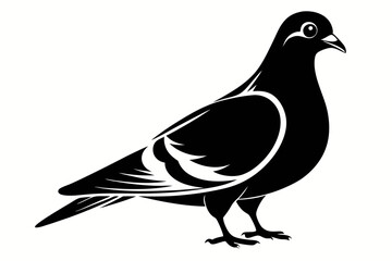 pigeon silhouette line art vector illustration with a white background