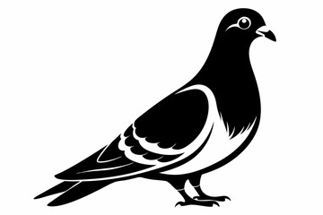 pigeon silhouette line art vector illustration with a white background