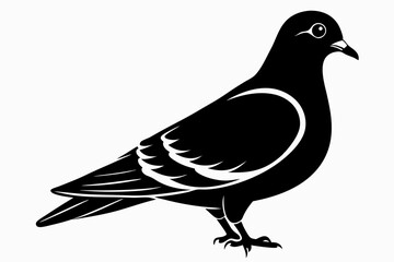 pigeon silhouette line art vector illustration with a white background