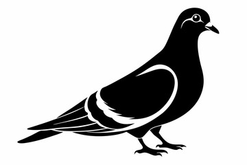 pigeon silhouette line art vector illustration with a white background