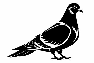 pigeon silhouette line art vector illustration with a white background
