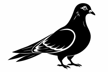 Fototapeta premium pigeon silhouette line art vector illustration with a white background