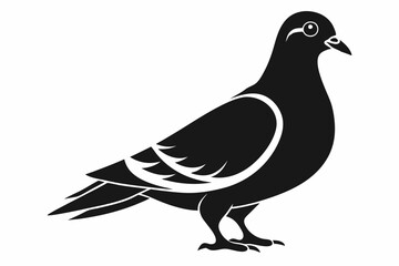 pigeon silhouette line art vector illustration with a white background
