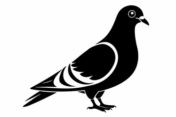 Obraz premium pigeon silhouette line art vector illustration with a white background