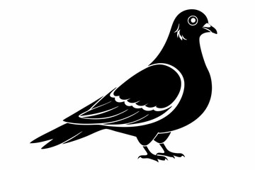 pigeon silhouette line art vector illustration with a white background