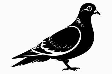 pigeon silhouette line art vector illustration with a white background