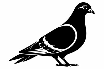 pigeon silhouette line art vector illustration with a white background
