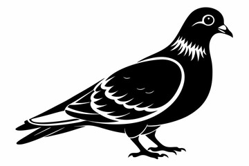 pigeon silhouette line art vector illustration with a white background