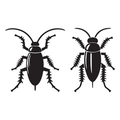 black and white beetle