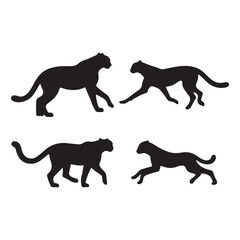 silhouette of a Leopard Tiger