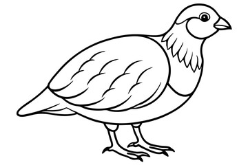 quail silhouette line art vector illustration with a white background