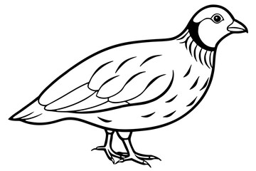 quail silhouette line art vector illustration with a white background