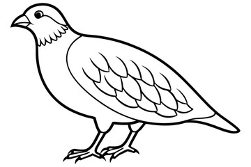 quail silhouette line art vector illustration with a white background