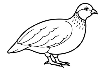 quail silhouette line art vector illustration with a white background