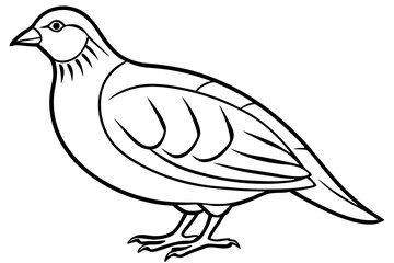 quail silhouette line art vector illustration with a white background