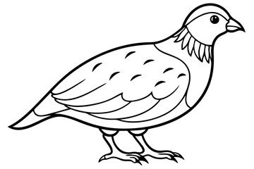 quail silhouette line art vector illustration with a white background