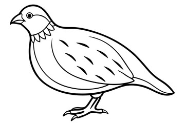 quail silhouette line art vector illustration with a white background