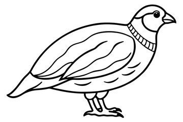 quail silhouette line art vector illustration with a white background