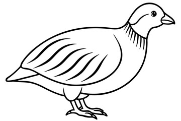Fototapeta premium quail silhouette line art vector illustration with a white background