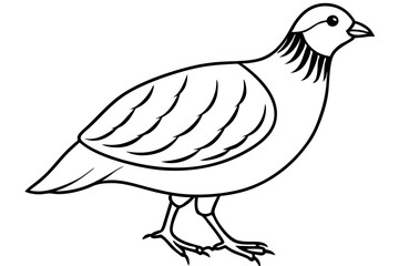 quail silhouette line art vector illustration with a white background