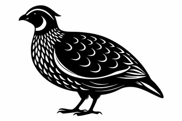quail silhouette line art vector illustration with a white background