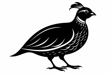 quail silhouette line art vector illustration with a white background