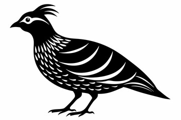 quail silhouette line art vector illustration with a white background