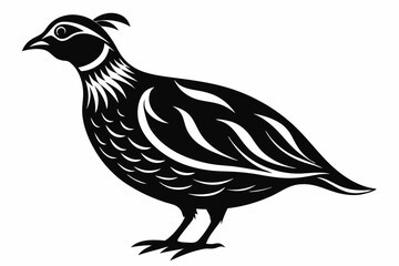 quail silhouette line art vector illustration with a white background