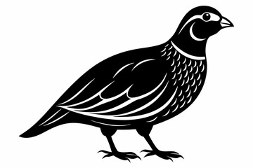 quail silhouette line art vector illustration with a white background