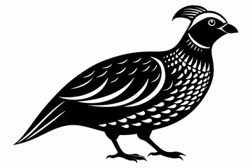 quail silhouette line art vector illustration with a white background