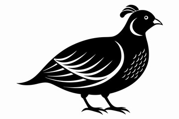 quail silhouette line art vector illustration with a white background