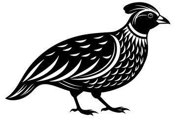 quail silhouette line art vector illustration with a white background