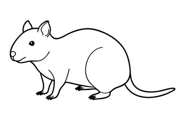 quokka silhouette line art vector illustration with a white background