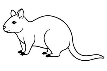 quokka silhouette line art vector illustration with a white background