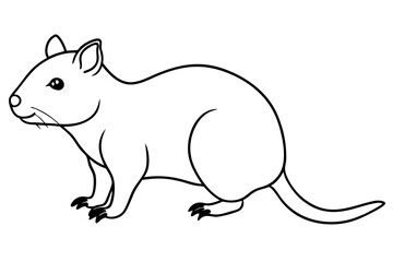 quokka silhouette line art vector illustration with a white background
