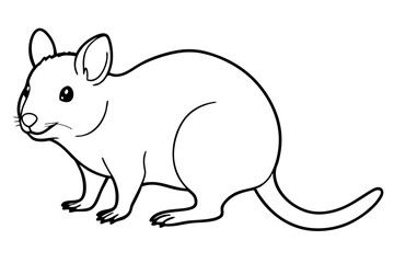 quokka silhouette line art vector illustration with a white background