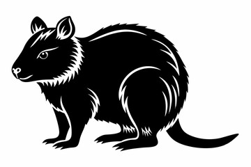 Obraz premium quokka silhouette line art vector illustration with a white background