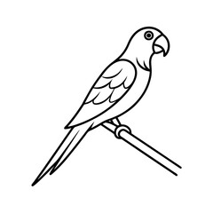 Parrot perched on a branch line art vector