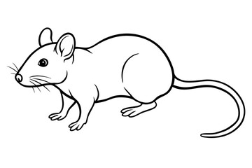 rat silhouette line art vector illustration with a white background