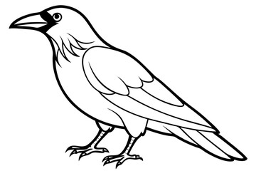 raven silhouette line art vector illustration with a white background