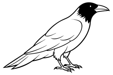 raven silhouette line art vector illustration with a white background