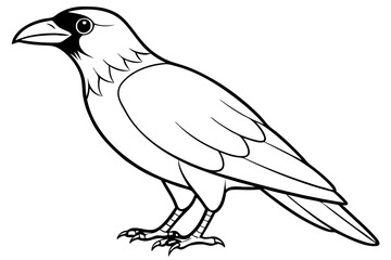 raven silhouette line art vector illustration with a white background