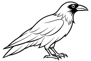 raven silhouette line art vector illustration with a white background