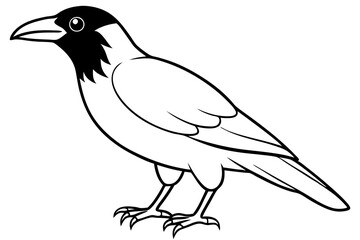 raven silhouette line art vector illustration with a white background