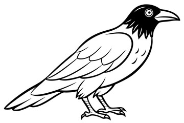 raven silhouette line art vector illustration with a white background