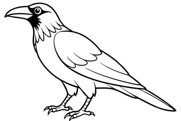raven silhouette line art vector illustration with a white background