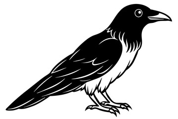 raven silhouette line art vector illustration with a white background