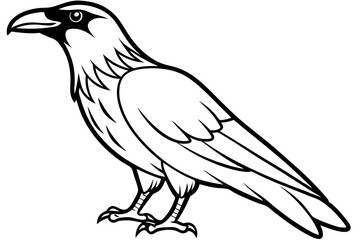 raven silhouette line art vector illustration with a white background